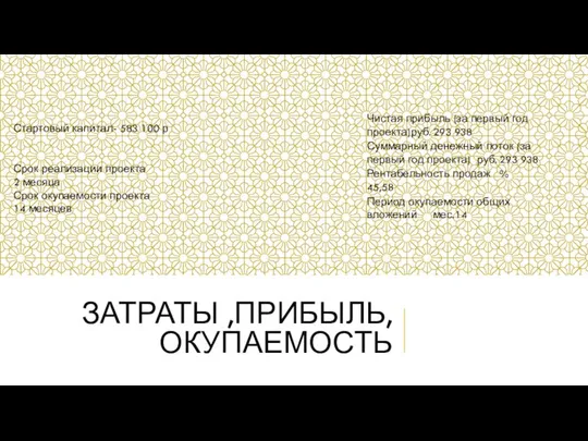 ЗАТРАТЫ ,ПРИБЫЛЬ, ОКУПАЕМОСТЬ Чистая прибыль (за первый год проекта) руб. 293