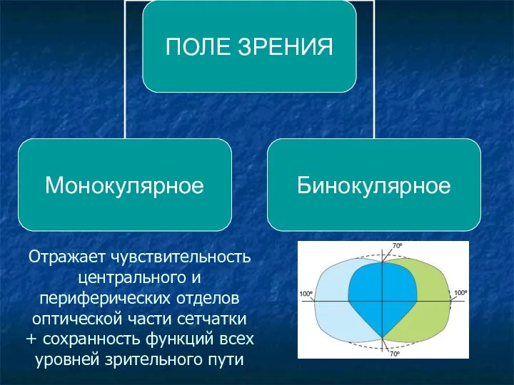 Отражает чувствительность центрального и периферических отделов оптической части сетчатки + сохранность функций всех уровней зрительного пути