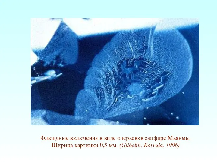Флюидные включения в виде «перьев»в сапфире Мьянмы. Ширина картинки 0,5 мм. (Gübelin, Koivula, 1996)