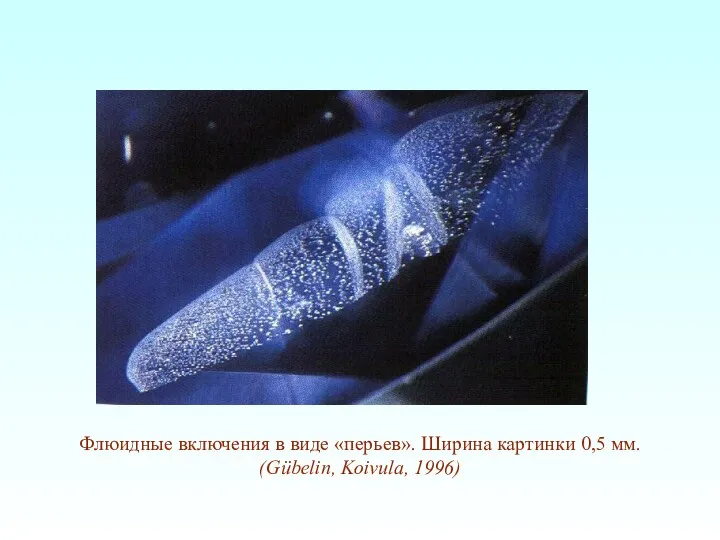 Флюидные включения в виде «перьев». Ширина картинки 0,5 мм. (Gübelin, Koivula, 1996)