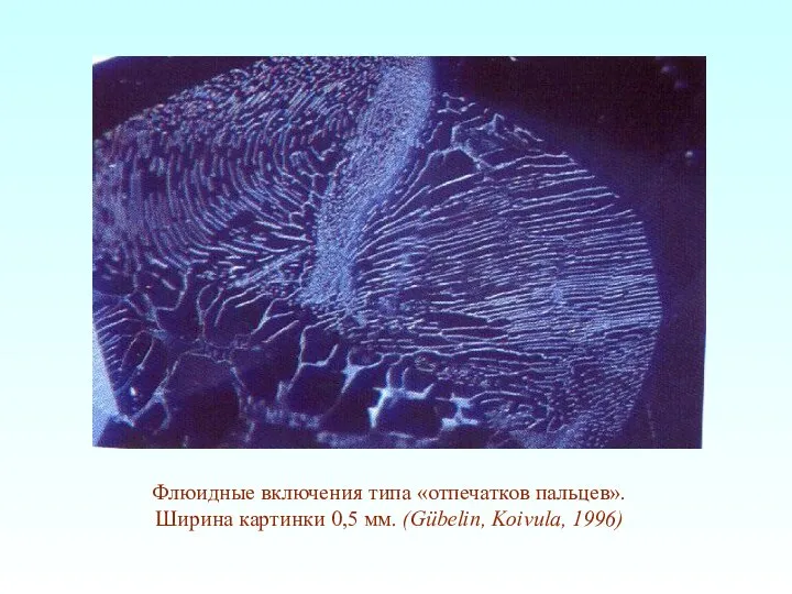 Флюидные включения типа «отпечатков пальцев». Ширина картинки 0,5 мм. (Gübelin, Koivula, 1996)