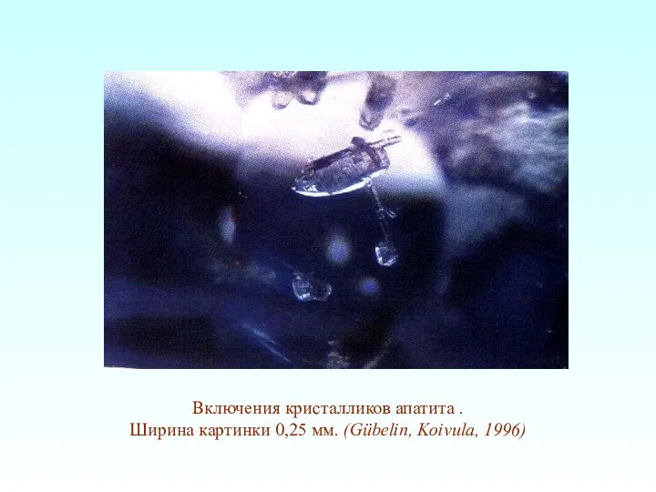 Включения кристалликов апатита . Ширина картинки 0,25 мм. (Gübelin, Koivula, 1996)