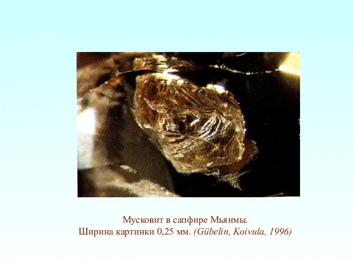 Мусковит в сапфире Мьянмы. Ширина картинки 0,25 мм. (Gübelin, Koivula, 1996)