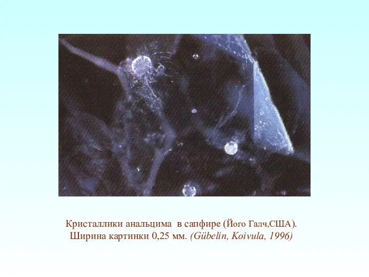 Кристаллики анальцима в сапфире (Його Галч,США). Ширина картинки 0,25 мм. (Gübelin, Koivula, 1996)