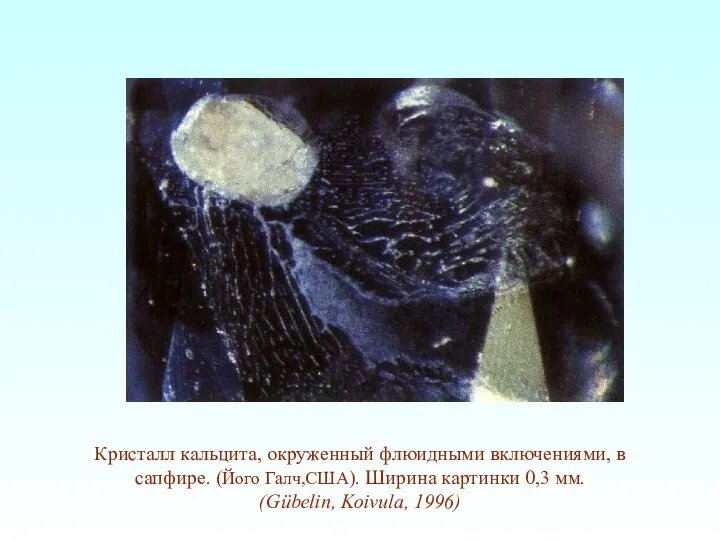 Кристалл кальцита, окруженный флюидными включениями, в сапфире. (Його Галч,США). Ширина картинки 0,3 мм. (Gübelin, Koivula, 1996)