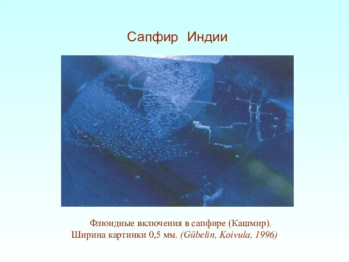 Флюидные включения в сапфире (Кашмир). Ширина картинки 0,5 мм. (Gübelin, Koivula, 1996) Сапфир Индии