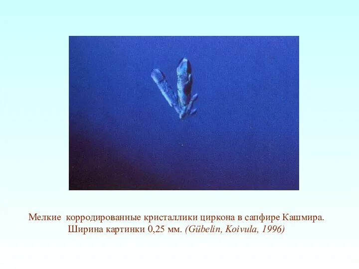 Мелкие корродированные кристаллики циркона в сапфире Кашмира. Ширина картинки 0,25 мм. (Gübelin, Koivula, 1996)