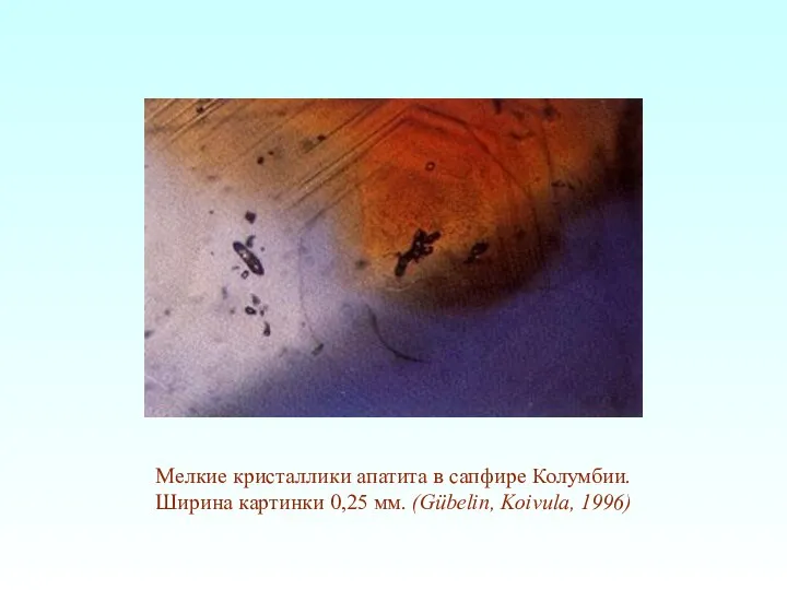 Мелкие кристаллики апатита в сапфире Колумбии. Ширина картинки 0,25 мм. (Gübelin, Koivula, 1996)