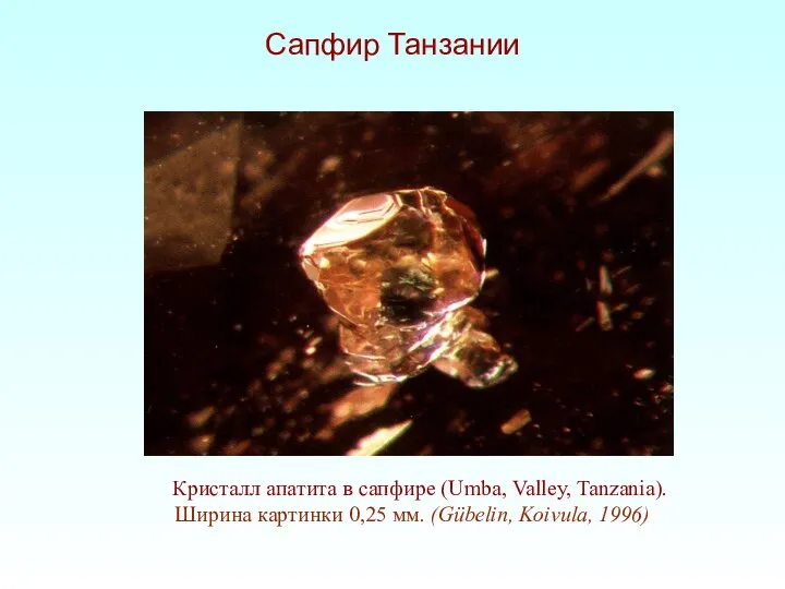 Кристалл апатита в сапфире (Umba, Valley, Tanzania). Ширина картинки 0,25 мм. (Gübelin, Koivula, 1996) Сапфир Танзании