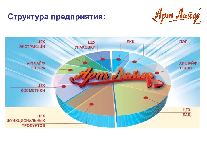 Структура предприятия: