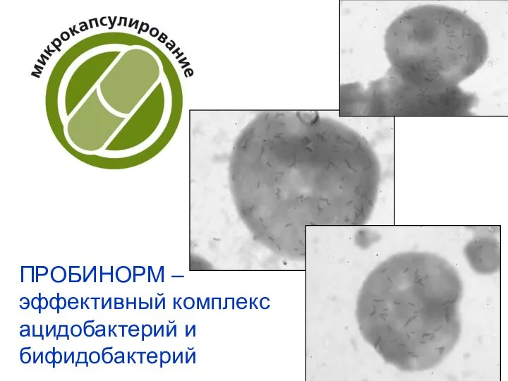 ПРОБИНОРМ – эффективный комплекс ацидобактерий и бифидобактерий