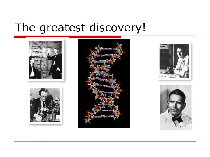 The greatest discovery!
