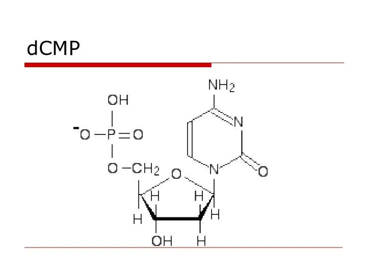 dСMP