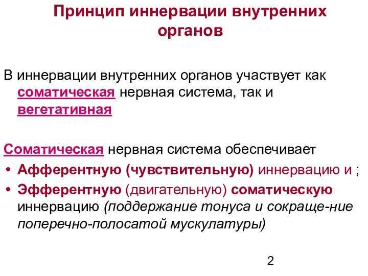 Принцип иннервации внутренних органов В иннервации внутренних органов участвует как соматическая