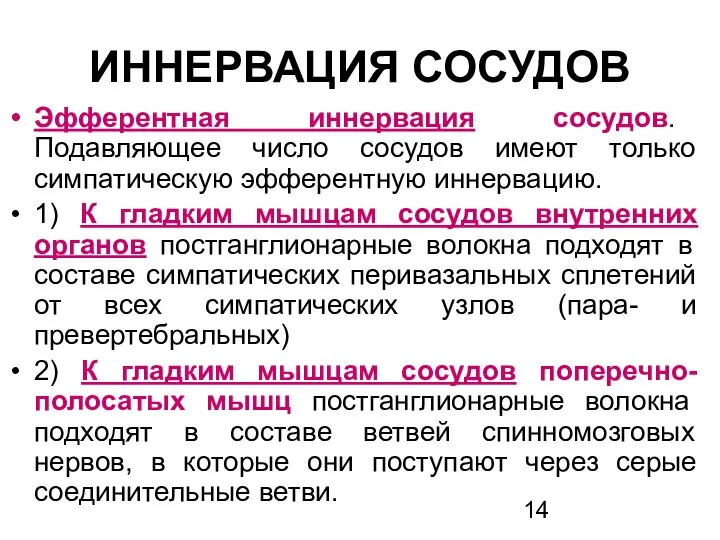 ИННЕРВАЦИЯ СОСУДОВ Эфферентная иннервация сосудов. Подавляющее число сосудов имеют только симпатическую