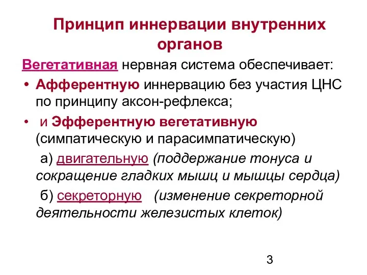 Принцип иннервации внутренних органов Вегетативная нервная система обеспечивает: Афферентную иннервацию без