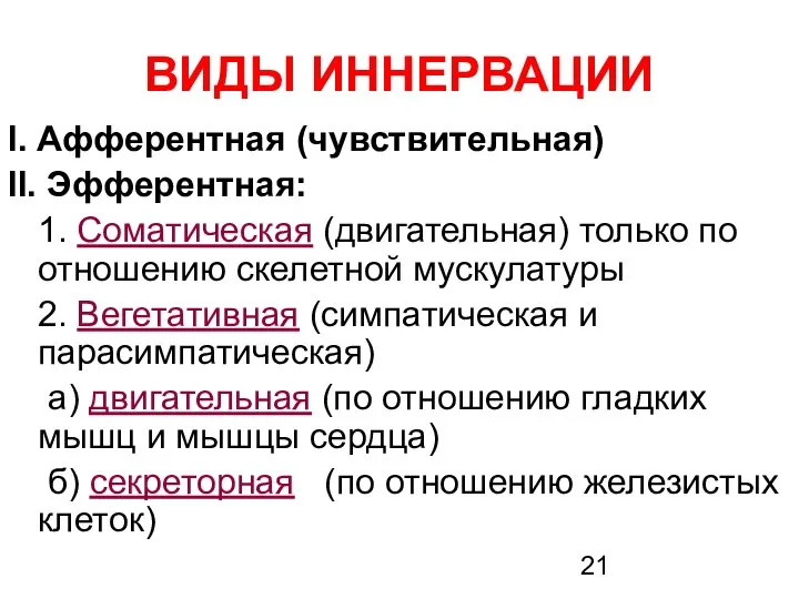 ВИДЫ ИННЕРВАЦИИ I. Афферентная (чувствительная) II. Эфферентная: 1. Соматическая (двигательная) только