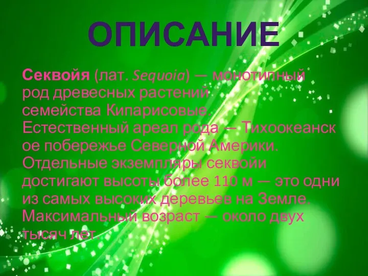 ОПИСАНИЕ Секвойя (лат. Sequoia) — монотипный род древесных растений семейства Кипарисовые.