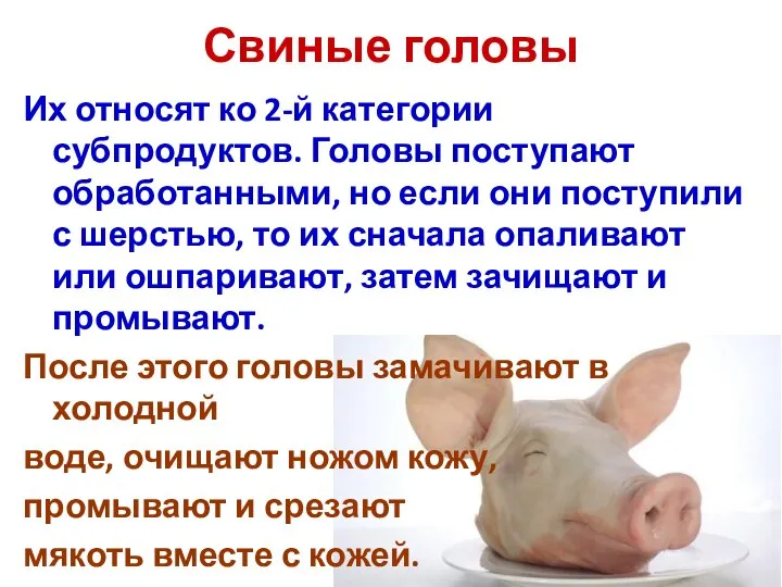 Свиные головы Их относят ко 2-й категории субпродуктов. Головы поступают обработанными,