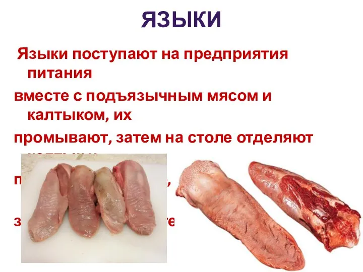 ЯЗЫКИ Языки поступают на предприятия питания вместе с подъязычным мясом и