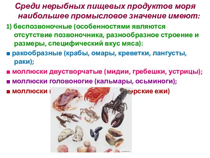 Среди нерыбных пищевых продуктов моря наибольшее промысловое значение имеют: 1) беспозвоночные