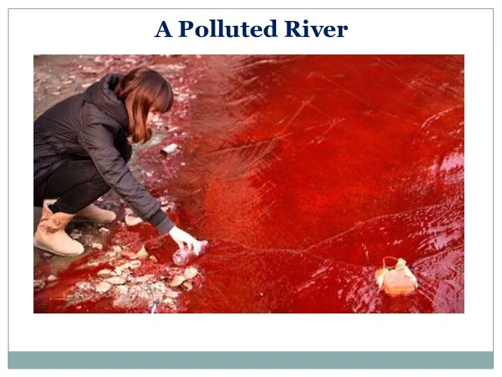 A Polluted River