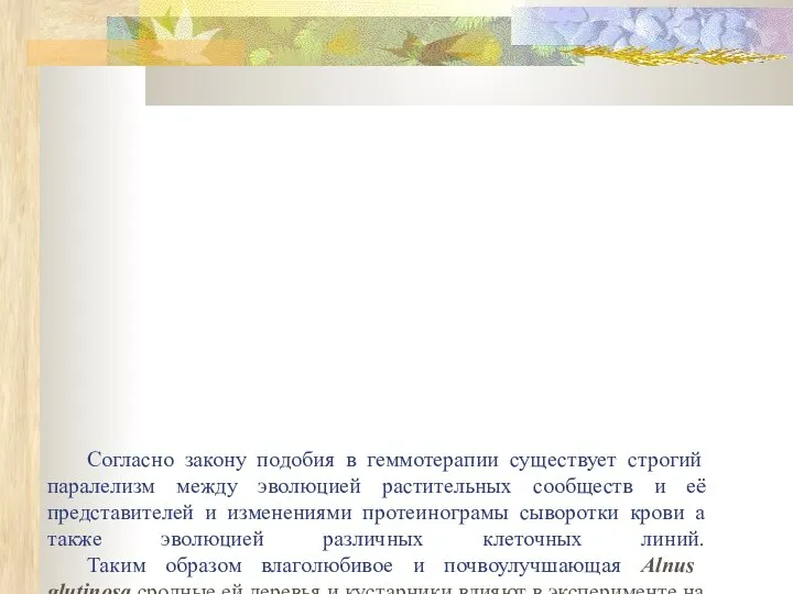 Согласно закону подобия в геммотерапии существует строгий паралелизм между эволюцией растительных