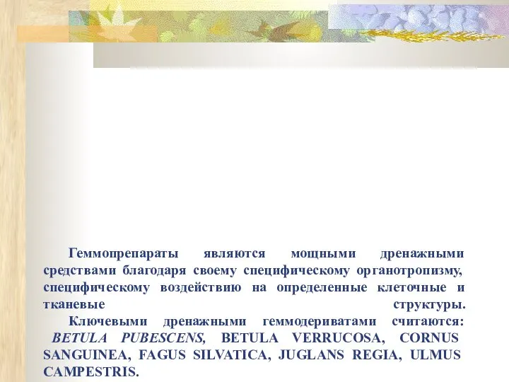 Геммопрепараты являются мощными дренажными средствами благодаря своему специфическому органотропизму, специфическому воздействию