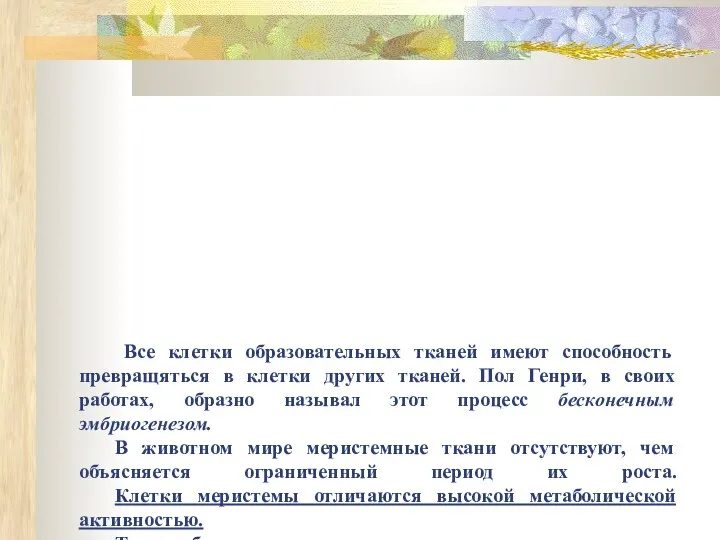 Все клетки образовательных тканей имеют способность превращяться в клетки других тканей.