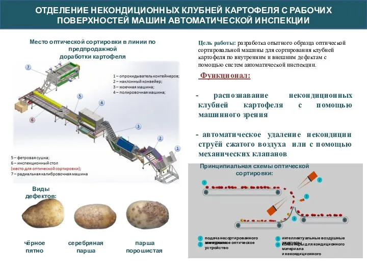 ОТДЕЛЕНИЕ НЕКОНДИЦИОННЫХ КЛУБНЕЙ КАРТОФЕЛЯ С РАБОЧИХ ПОВЕРХНОСТЕЙ МАШИН АВТОМАТИЧЕСКОЙ ИНСПЕКЦИИ Место