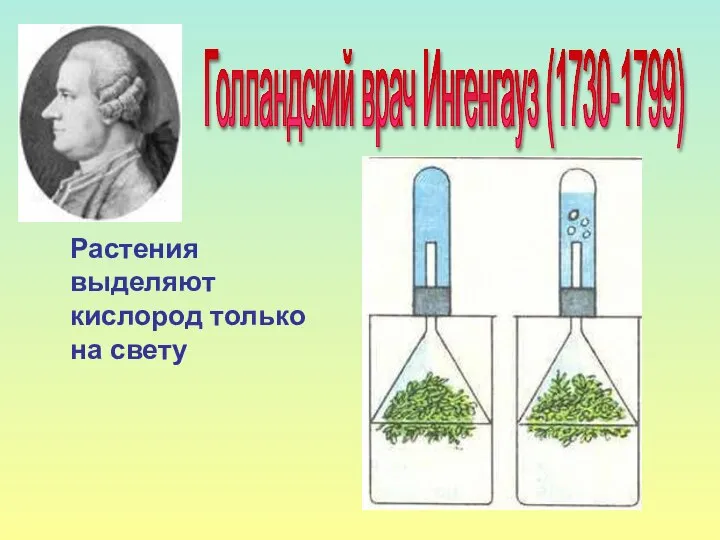 Растения выделяют кислород только на свету Голландский врач Ингенгауз (1730-1799)