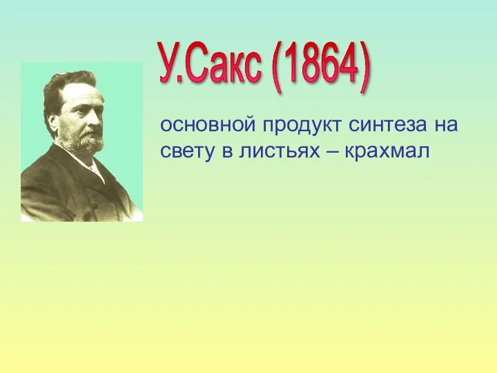 основной продукт синтеза на свету в листьях – крахмал У.Сакс (1864)