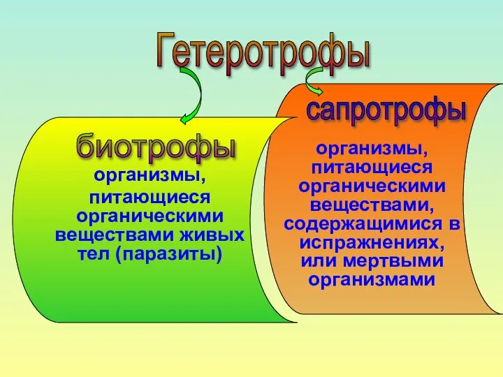 организмы, питающиеся органическими веществами живых тел (паразиты) организмы, питающиеся органическими веществами,