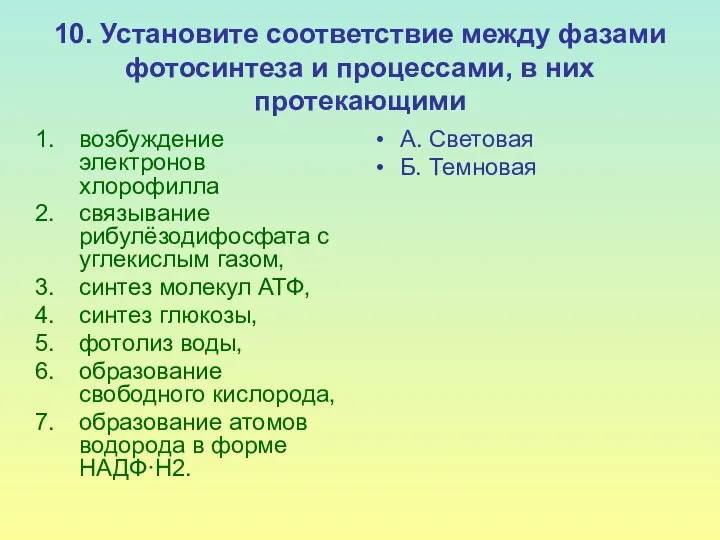 10. Установите соответствие между фазами фотосинтеза и процессами, в них протекающими