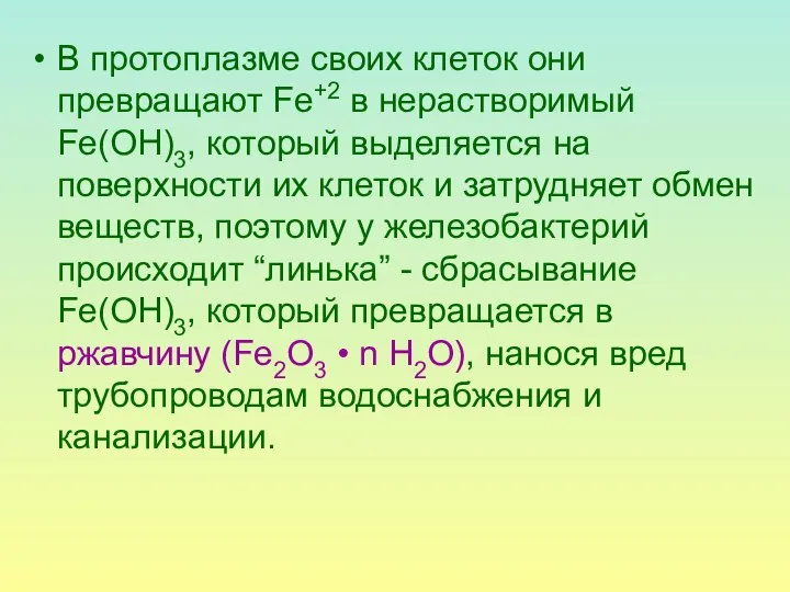 В протоплазме своих клеток они превращают Fe+2 в нерастворимый Fe(OH)3, который