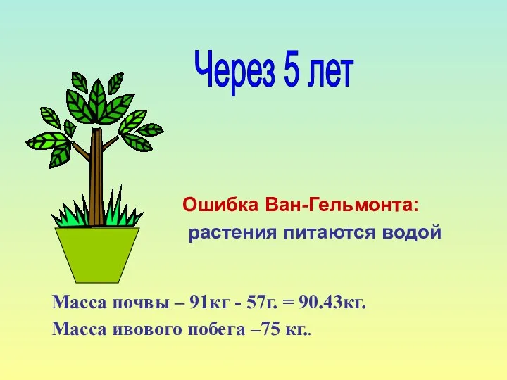 Масса почвы – 91кг - 57г. = 90.43кг. Масса ивового побега