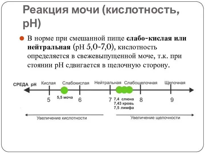 Реакция мочи (кислотность, рН) В норме при смешанной пище слабо-кислая или