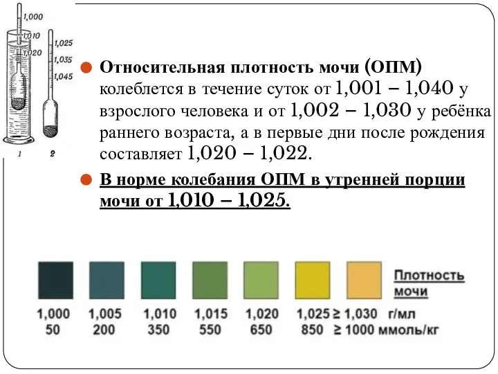 Относительная плотность мочи (ОПМ) колеблется в течение суток от 1,001 –