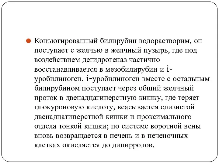 Конъюгированный билирубин водорастворим, он поступает с желчью в желчный пузырь, где