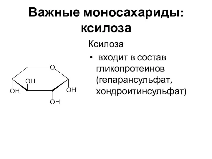 Важные моносахариды: ксилоза Ксилоза входит в состав гликопротеинов (гепарансульфат, хондроитинсульфат)