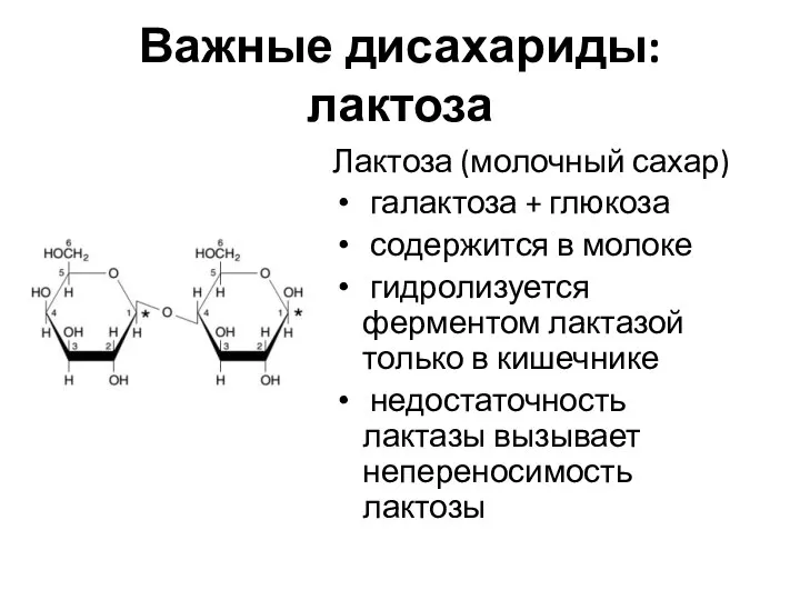 Важные дисахариды: лактоза Лактоза (молочный сахар) галактоза + глюкоза содержится в