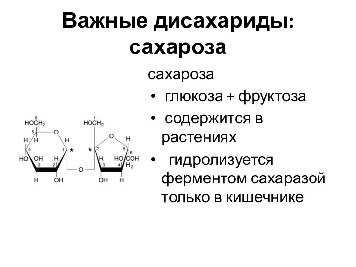 Важные дисахариды: сахароза сахароза глюкоза + фруктоза содержится в растениях гидролизуется ферментом сахаразой только в кишечнике