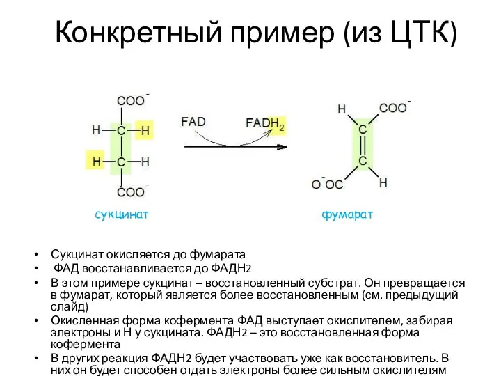 Конкретный пример (из ЦТК) Сукцинат окисляется до фумарата ФАД восстанавливается до