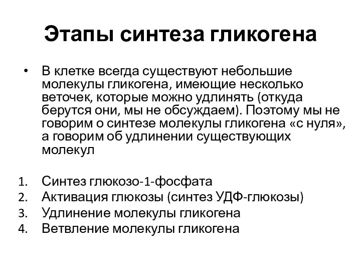 Этапы синтеза гликогена В клетке всегда существуют небольшие молекулы гликогена, имеющие