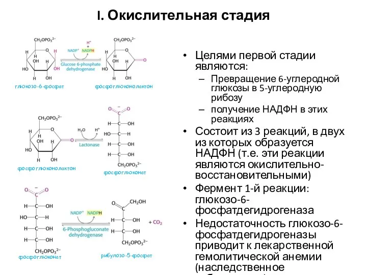 I. Окислительная стадия Целями первой стадии являются: Превращение 6-углеродной глюкозы в