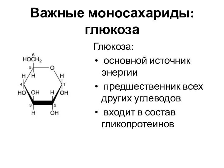 Важные моносахариды: глюкоза Глюкоза: основной источник энергии предшественник всех других углеводов входит в состав гликопротеинов