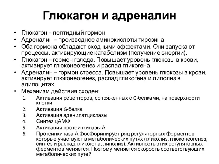 Глюкагон и адреналин Глюкагон – пептидный гормон Адреналин – производное аминокислоты