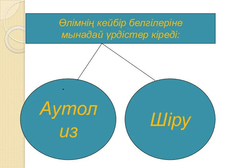 Аутолиз Шіру Өлімнің кейбір белгілеріне мынадай үрдістер кіреді: