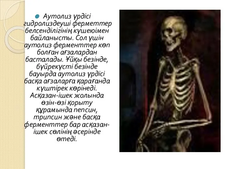 Аутолиз үрдісі гидролиздеуші ферметтер белсенділігінің күшеюімен байланысты. Сол үшін аутолиз ферменттер