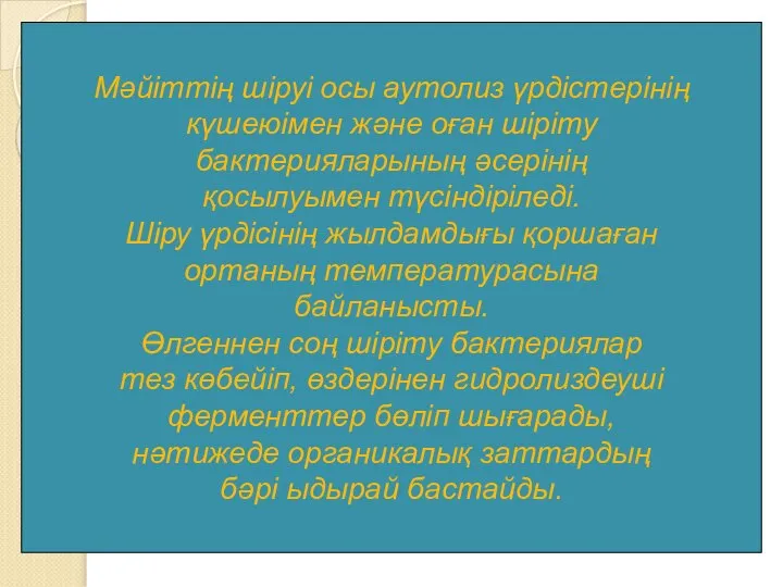 Мәйіттің шіруі осы аутолиз үрдістерінің күшеюімен және оған шіріту бактерияларының әсерінің